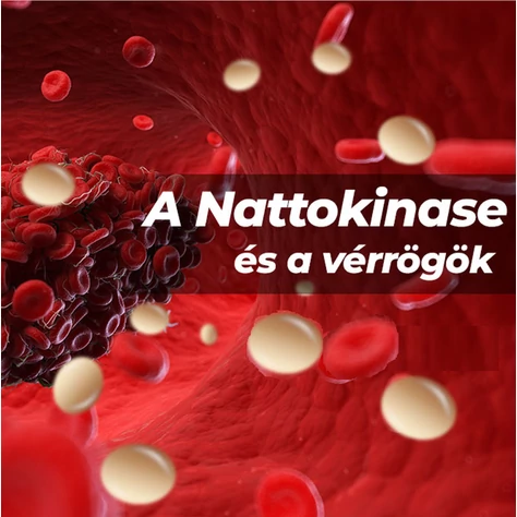 Nattokináz, a szív- és érrendszer természetes támogatója